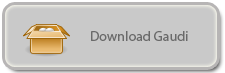 Download Gaudi executable.